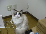 画像 009.jpg