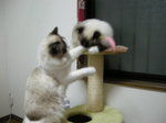 画像 014.jpg