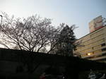 画像 018.jpg