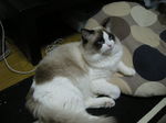 画像 043.jpg