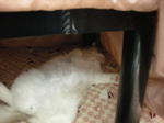 DSCN0828.JPG