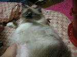 DSCN0830.JPG
